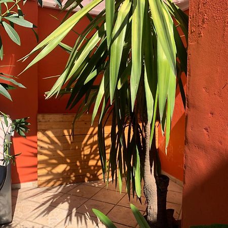 Villa Coyoacan Mexico City Exteriör bild