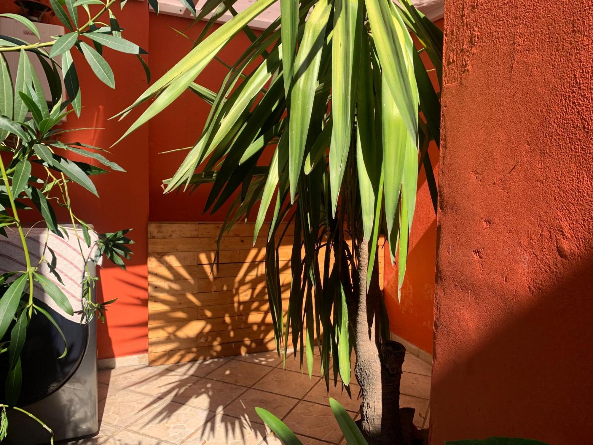 Villa Coyoacan Mexico City Exteriör bild