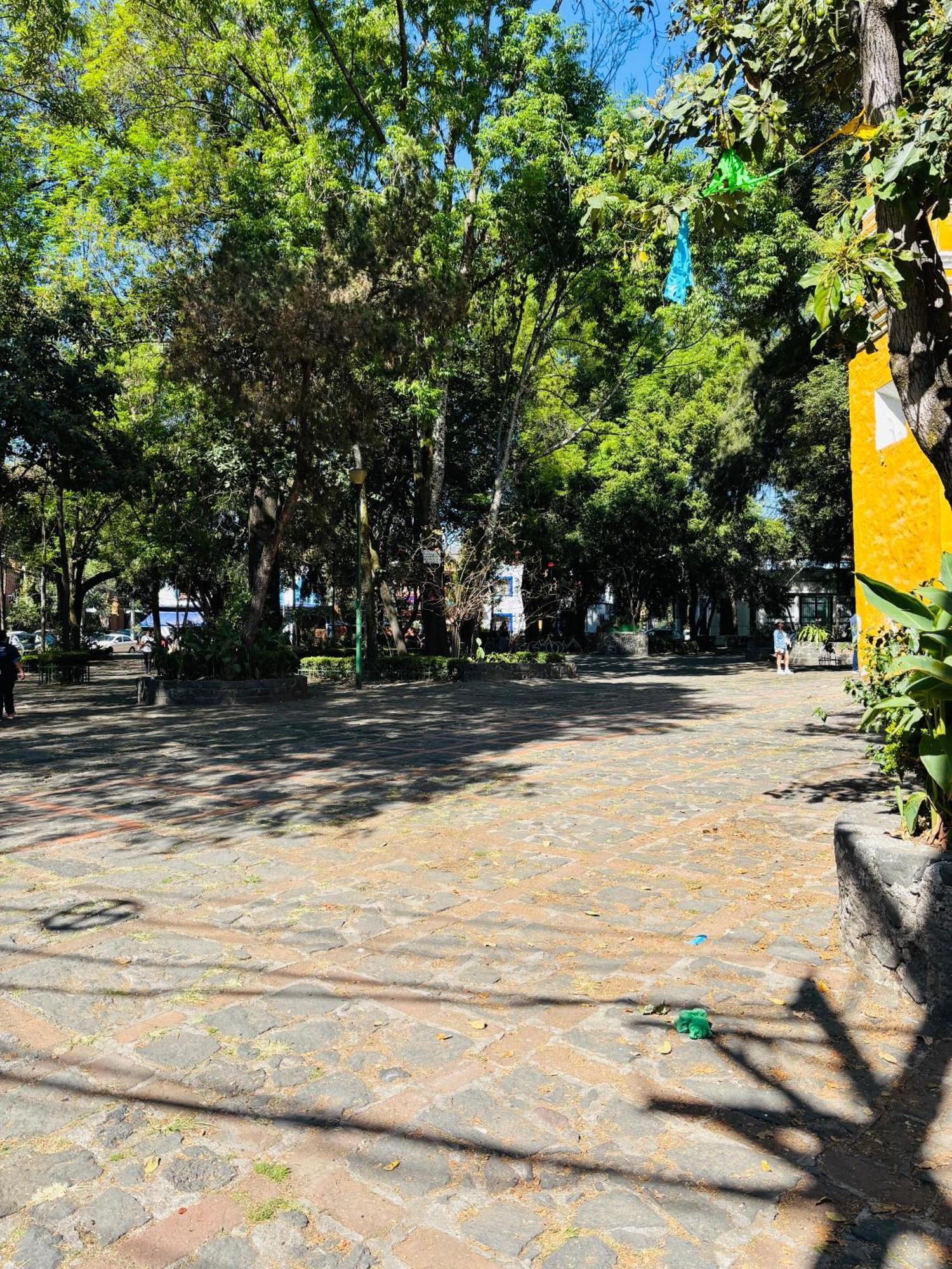 Villa Coyoacan Mexico City Exteriör bild